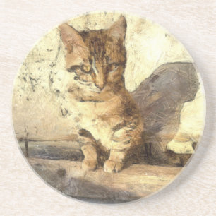 Alle Katzen sind schwarz in der dunklen Bleistiftz Getränkeuntersetzer