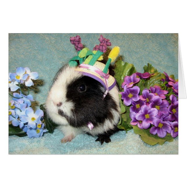 Alle kleideten oben an (Vorderseite (Horizontal))