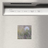Alle kleinen Dinge leuchten Magnet (In Situ (Geschirrspüler))