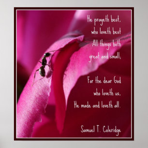 Alle Kreaturen Groß und Klein Poster