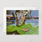 Alle Kreaturen Groß und Klein Postkarte (Vorne/Hinten)