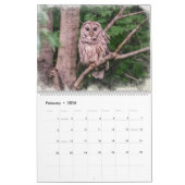 Alle Kreaturen großer und kleiner Kalender (Feb 2026)