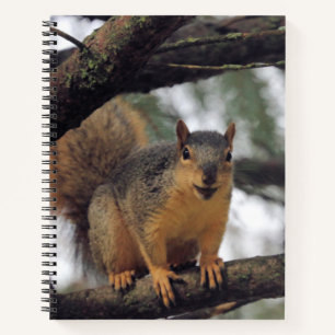 Alle lächeln notizblock