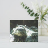 Alle lächeln postkarte (Stehend Vorderseite)