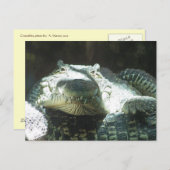 Alle lächeln postkarte (Vorne/Hinten)