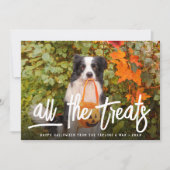 Alle Leckereien | Halloween Pet Foto Karte (Vorderseite)