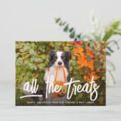 Alle Leckereien | Halloween Pet Foto Karte (Stehend Vorderseite)
