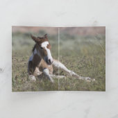 Alle Legs Wild Horse Grußkarte Karte (Innenseite)