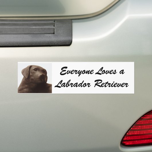 Alle Lieben einen Labrador Retriever Autoaufkleber (Auf Auto)