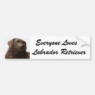 Alle Lieben einen Labrador Retriever Autoaufkleber