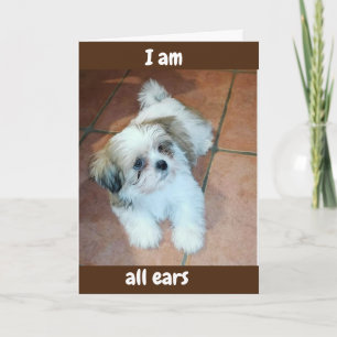 **ALLE OHREN/BEREIT ZU HÖREN U HATTE EINEN GLÜCKLI FEIERTAGSKARTE