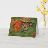 Alle Orange Karte (Gelbe Blume)