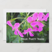 Alle Party Einladungen (Rückseite)