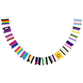 Alle Pride Flags 2.0 Wimpelkette