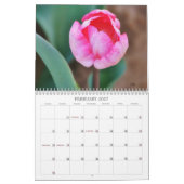 Alle rosa Blume Fotokalender Kalender (Feb 2027)
