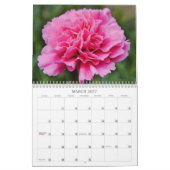 Alle rosa Blume Fotokalender Kalender (Mär 2027)