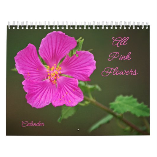 Alle rosa Blume Fotokalender Kalender (Titelbild)