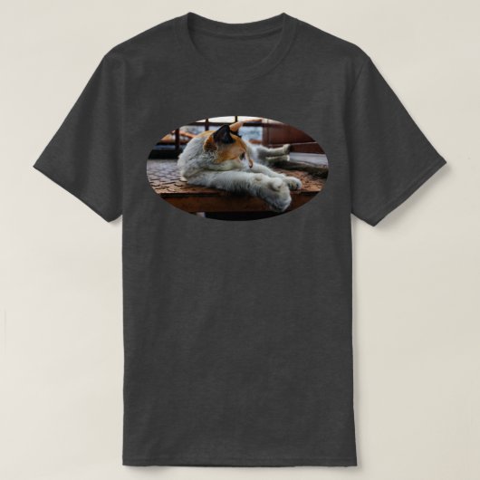Alle sind schön T-Shirt (Design vorne)