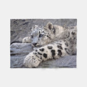 Alle spielten heraus Fleece-Decke Fleecedecke (Vorderseite (Horizontal))