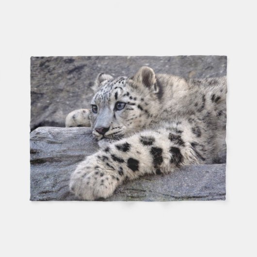 Alle spielten heraus Fleece-Decke Fleecedecke (Vorderseite (Horizontal))