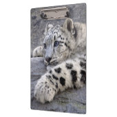 Alle spielten heraus Klemmbrett (Links)