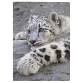 Alle spielten heraus Klemmbrett (Rückseite)