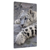 Alle spielten heraus Klemmbrett (Rechts)