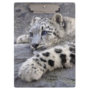 Alle spielten heraus Klemmbrett