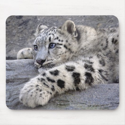 Alle spielten heraus Mousemat Mousepad (Vorne)