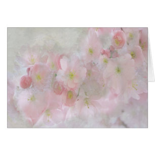 Alle Träume in Rosa