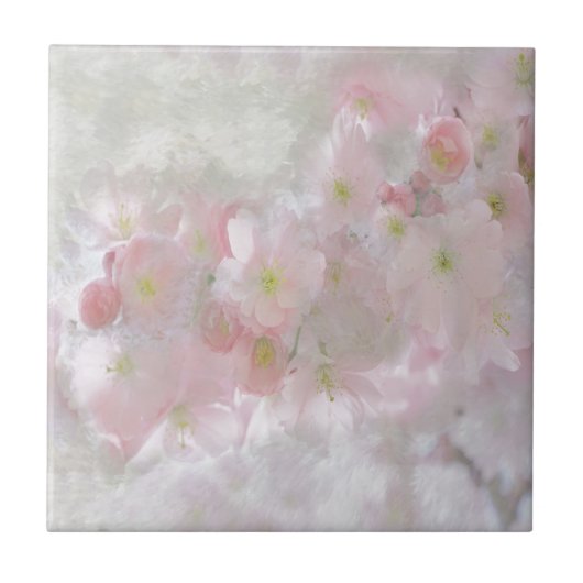 Alle Träume in Rosa Fliese (Vorderseite)