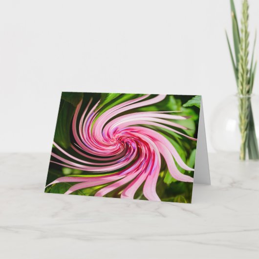 Alle verdünnten Karten (Vorderseite)