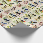 Alle Vogelarten - Farbe - Umhüllungspapier Geschenkpapier (Ecke)