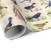 Alle Vogelarten - Farbe - Umhüllungspapier Geschenkpapier (Rolleneckpunkt)