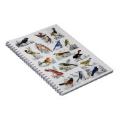 Alle Vogelarten Notizblock (Rechte Seite)