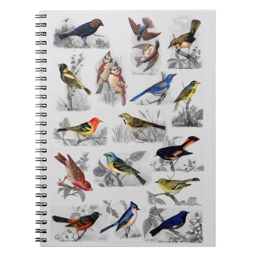 Alle Vogelarten Notizblock (Vorderseite)