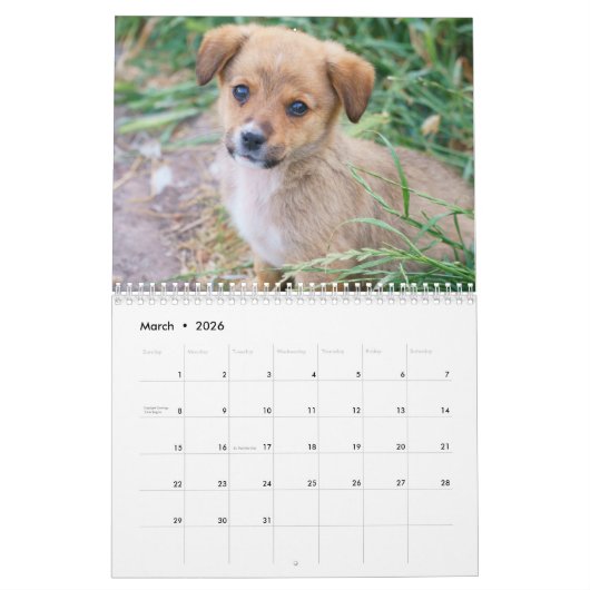 Alle Welpen 2025 Welpen-Hundehalterkalender Kalender (Mär 2026)