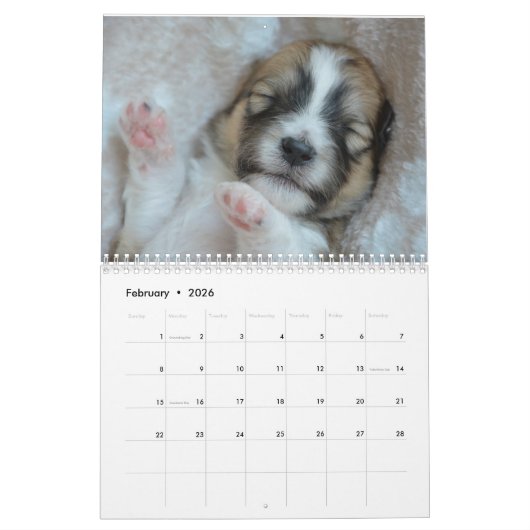 Alle Welpen 2025 Welpen-Hundehalterkalender Kalender (Feb 2026)