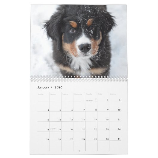 Alle Welpen 2025 Welpen-Hundehalterkalender Kalender (Jan 2026)