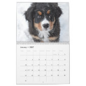 Alle Welpen 2025 Welpen-Hundehalterkalender Kalender (Jan 2027)