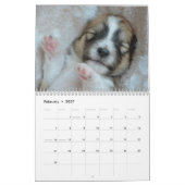 Alle Welpen 2025 Welpen-Hundehalterkalender Kalender (Feb 2027)