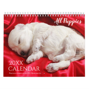 Alle Welpen 2027 Welpenhund Wand Kalender Süß