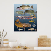 alle Wildfische Poster (Küche)