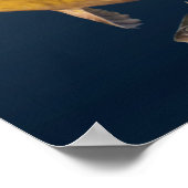 alle Wildfische Poster (Ecke)