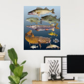 alle Wildfische Poster (Heimbüro)