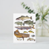 alle Wildfische Postkarte (Stehend Vorderseite)