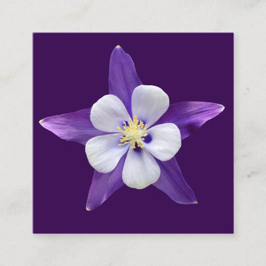 Alle zweckmäßigen kleinen Quadrat-Gift-Gards Begleitkarte (Vorderseite)