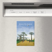 Allee der Baobabs, Madagaskar - Flachlandschaft Magnet (In Situ (Geschirrspüler))