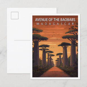 Allee der Baobabs Madagaskar Kunst Reise Postkarte