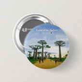 Allee der Baobabs, Madagaskar - Landschaft Button (Vorne & Hinten)
